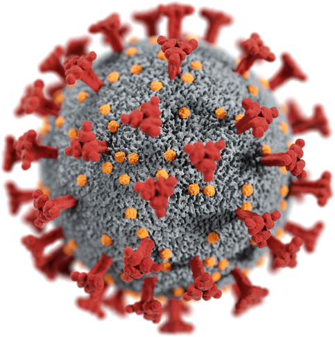 Virus Cell Illustration